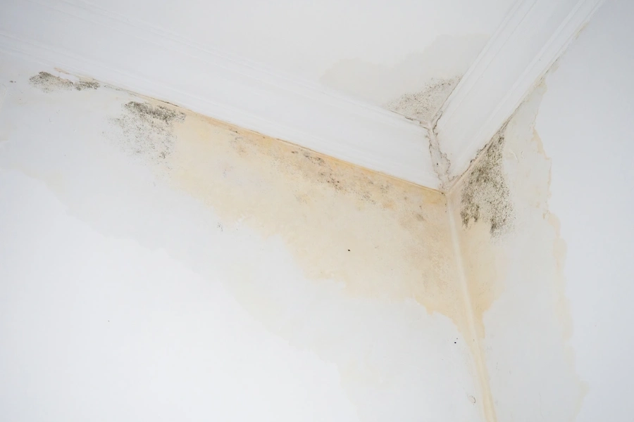 Roof Leak Repair Options For Water Damage Control Williston, ND Roof Leak Repair Options For Water Damage Control Williston, ND