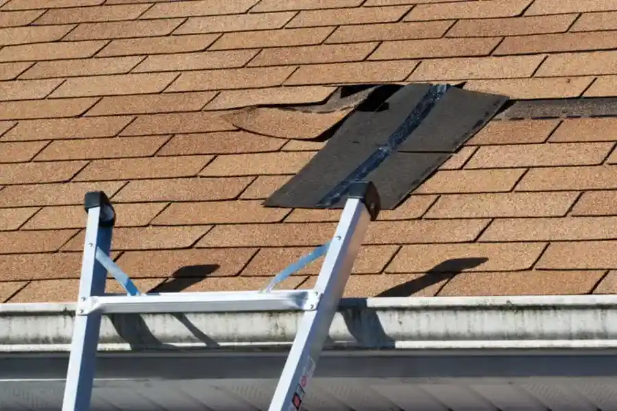 Understanding The Durability Of Asphalt Shingle Roofing Williston, ND Understanding The Durability Of Asphalt Shingle Roofing Williston, ND